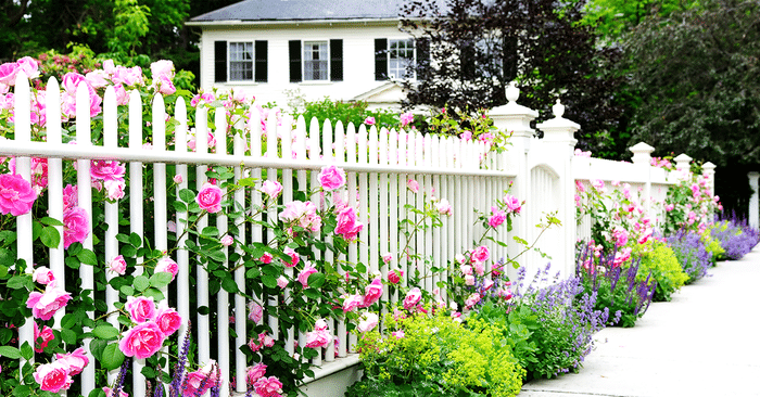 Moving During Spring